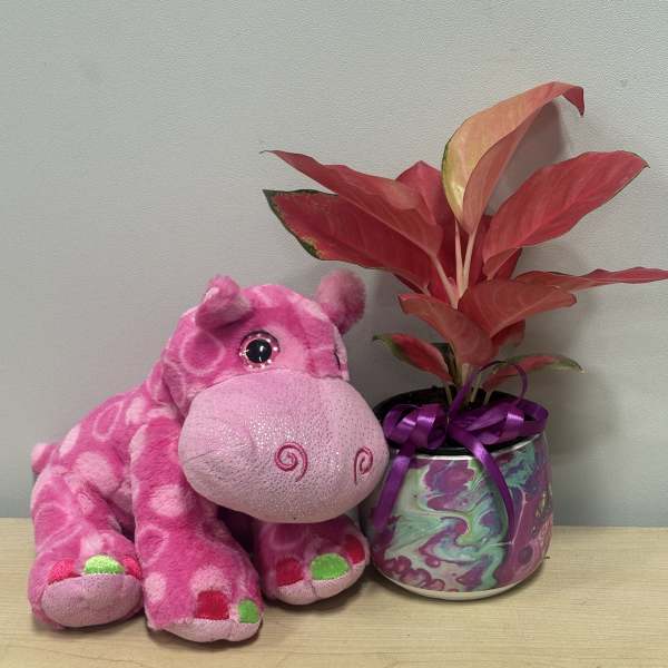 Pink plush hippo beside a potted red plant with a purple ribbon