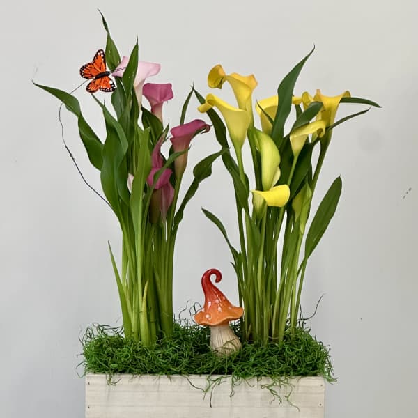 Two calla lily arrangements in a wooden box with a small mushroom accent