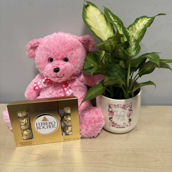 Pink teddy bear with chocolates and a potted plant in a love-themed mug