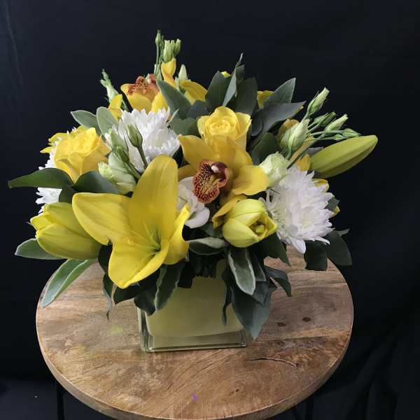 Bundle of Joy