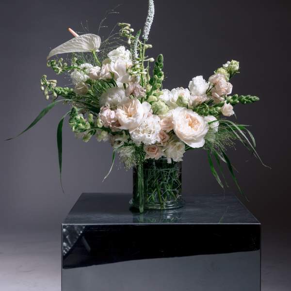 White & Creams - Cream Design