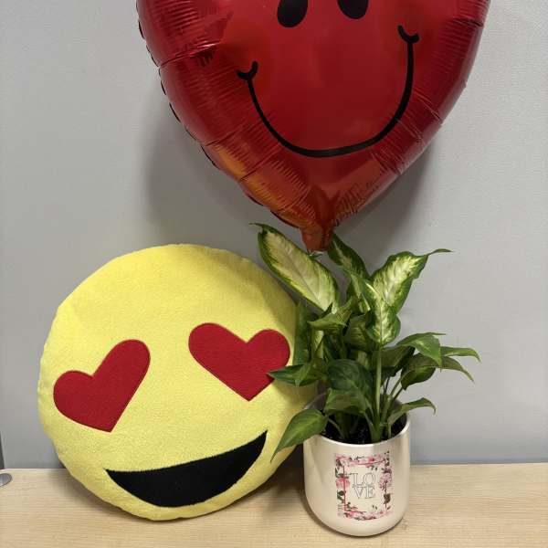Heart-shaped red balloon, emoji pillow, and potted plant in a decorative mug