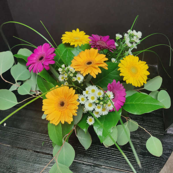 Bouquet of colorful gerbera daisies with small white filler flowers