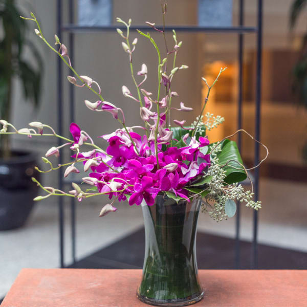 Magenta orchids arranged in a tall glass vase