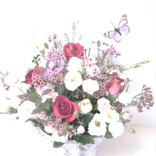 Butterfly Garden Premium