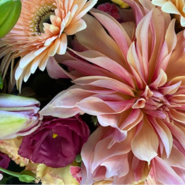 DAHLIAS for you!