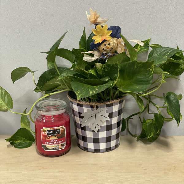 Fall planter & Apple Candle