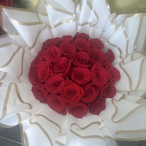 RAMO BUCHON 24
