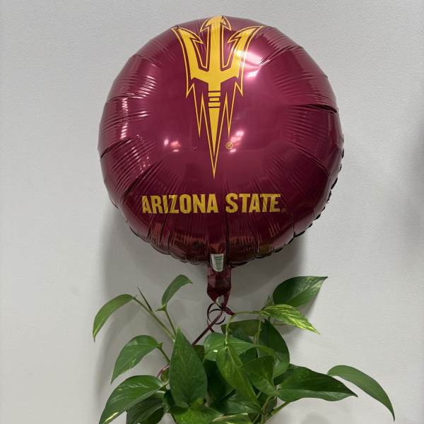 Potted green plant with a maroon Arizona State balloon and a Buffalo Wild Wings card