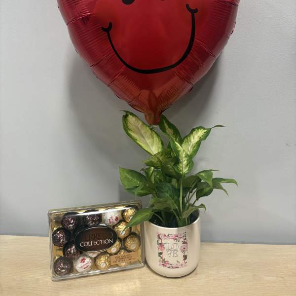 Love Planter & Chocolates Trio