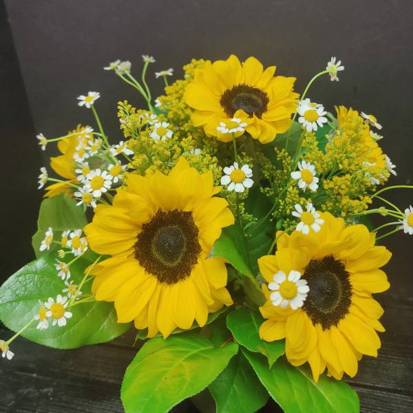 Sunny sunflower