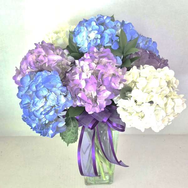 Bouquet of blue, purple, and white hydrangeas in a clear glass vase