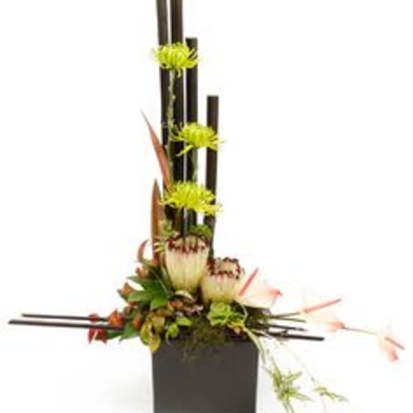 King of the forest