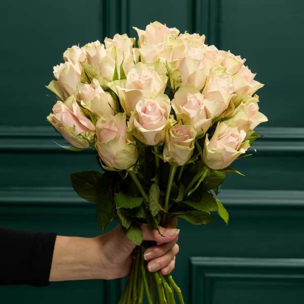 Handheld bouquet of pale pink roses against a dark green background