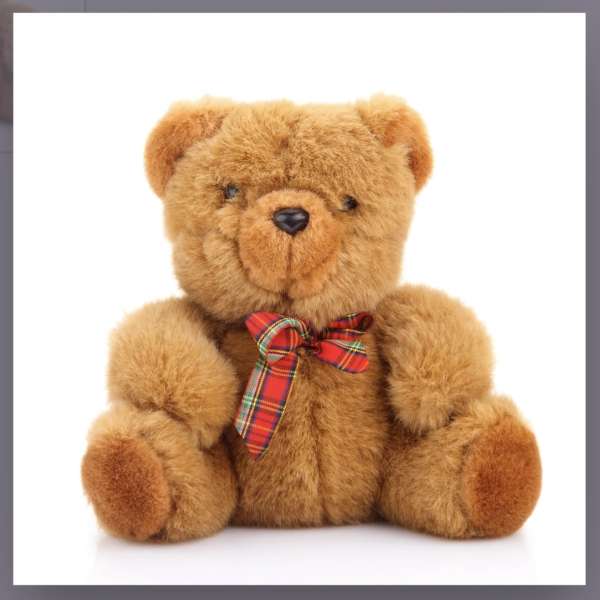Teddy
