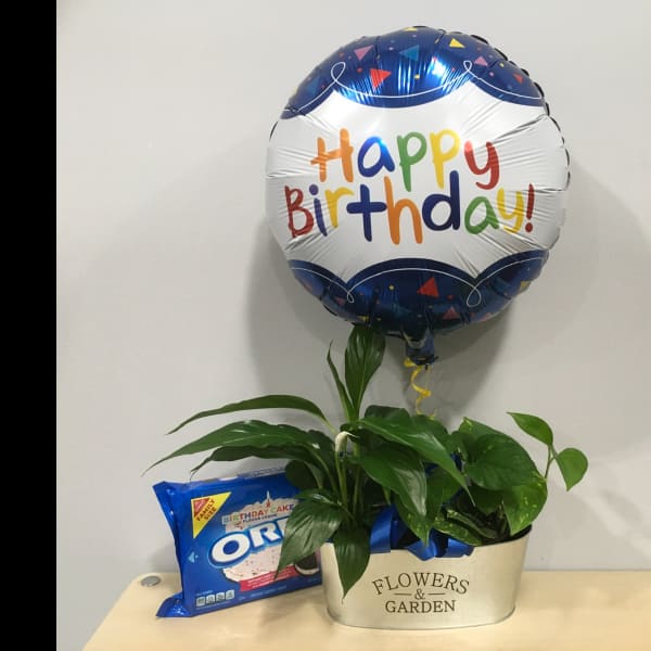 Birthday balloon with a potted plant and Oreo cookies in a gift container