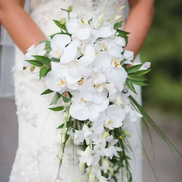 Bride holding a cascading white orchid bouquet with green accents
