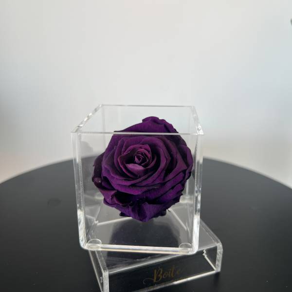 Petit Forever Boîte (Dark Purple)