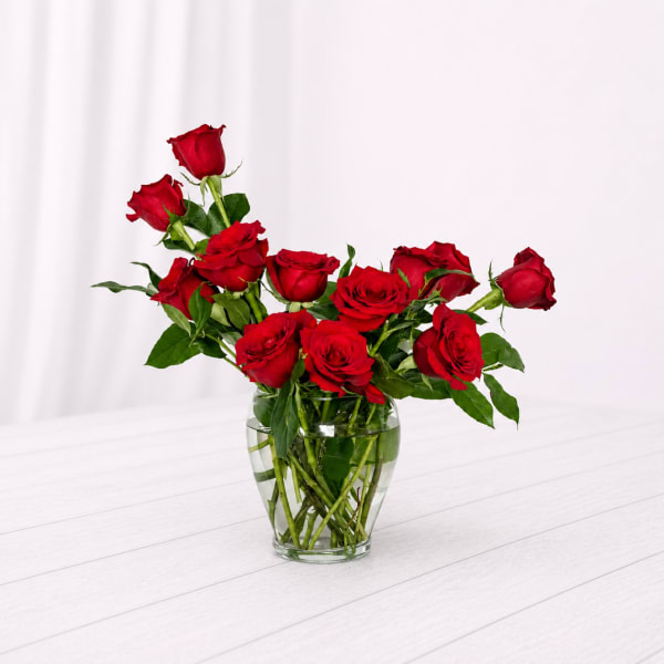 Modern Dozen Roses