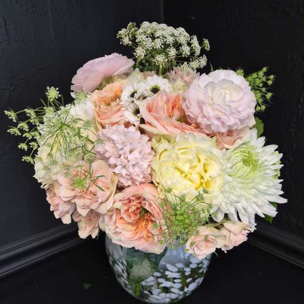Peach Blossom Dream