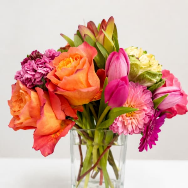 Sunlit Bloom