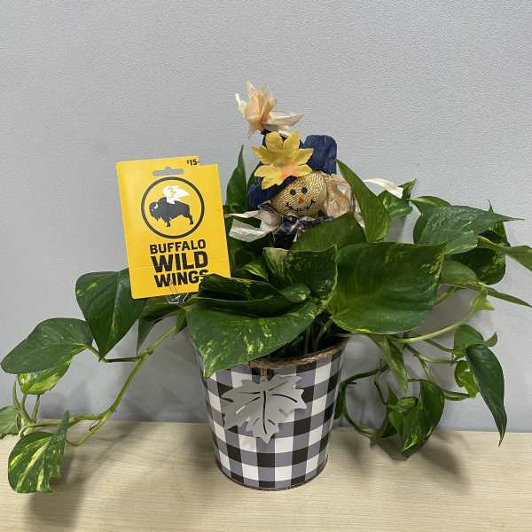 Fall Planter & BWW $15