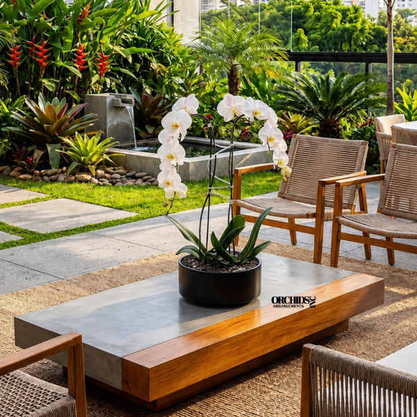 White orchid plant in a black pot on a low table