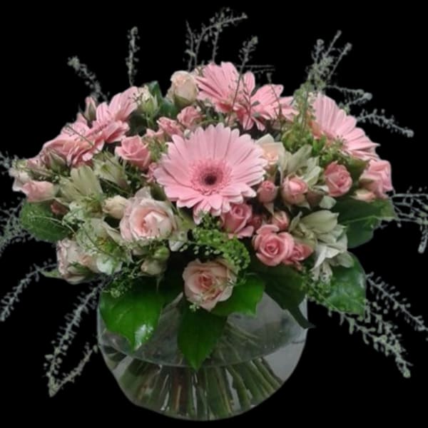 Blush Dream