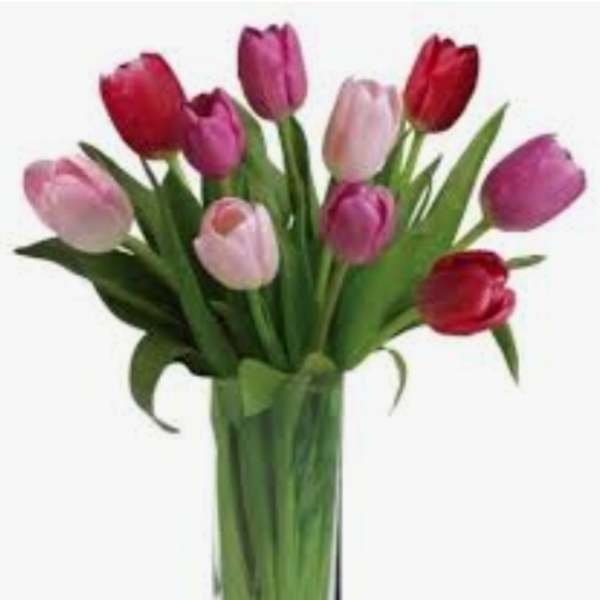 Bouquet of multicolored tulips in a clear glass vase
