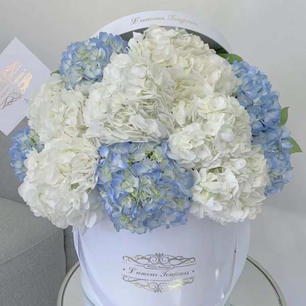 White and blue hydrangea bouquet in a round hat box