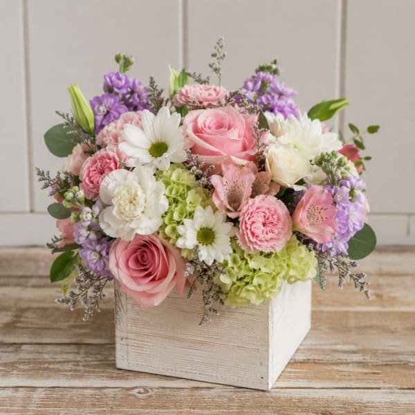 Paste Box of Blooms by Petal Perfection Flower Company