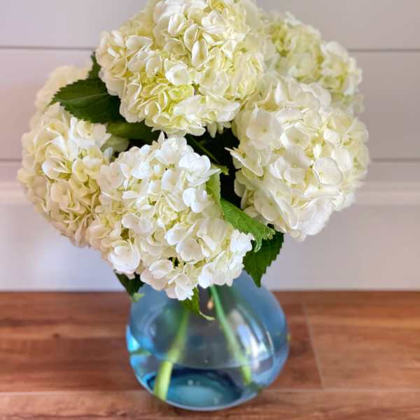 White hydrangea bouquet in a blue glass vase