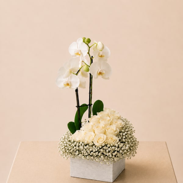 White orchids and cream roses in a square white box