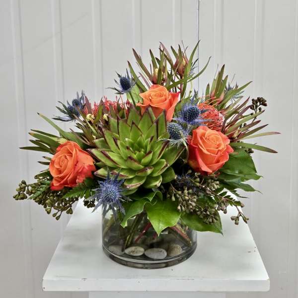 Arizona Sunset