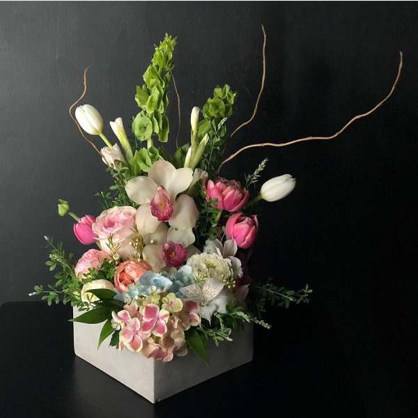 Spring Delight