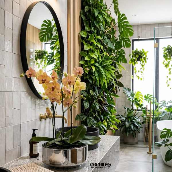 Potted orchids with pale pink blooms on a bathroom counter