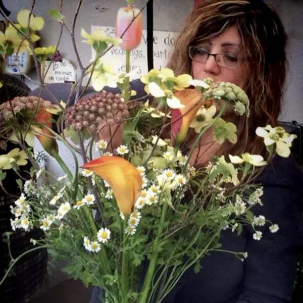 Sun-Kissed meadow