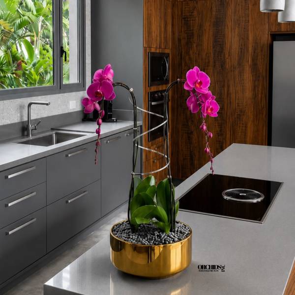 Potted orchids with bright pink blooms in a gold container on a kitchen island.
