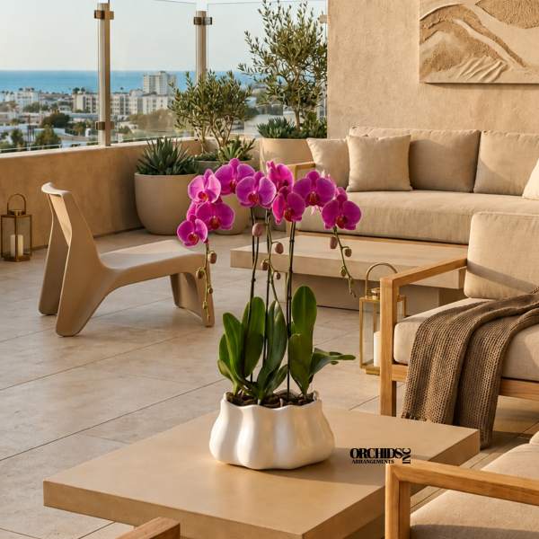 Potted pink orchid arrangement on a beige table in a modern patio seating area