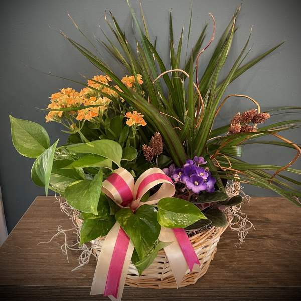 Basket arrangement with orange and purple flowers and a pink ribbon