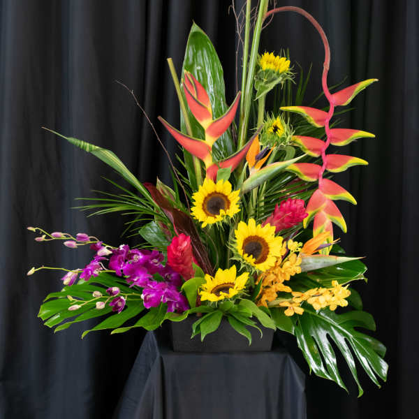 Tropical arrangement with sunflowers, orchids, and red heliconia in a black container