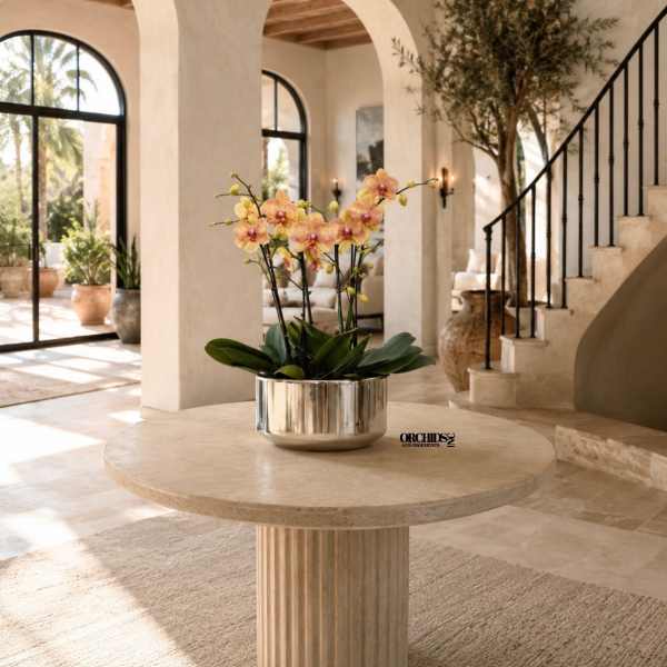 Potted orchid arrangement in a silver bowl on a round table