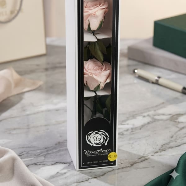 Pink Double Stem Preseved Forever Rose