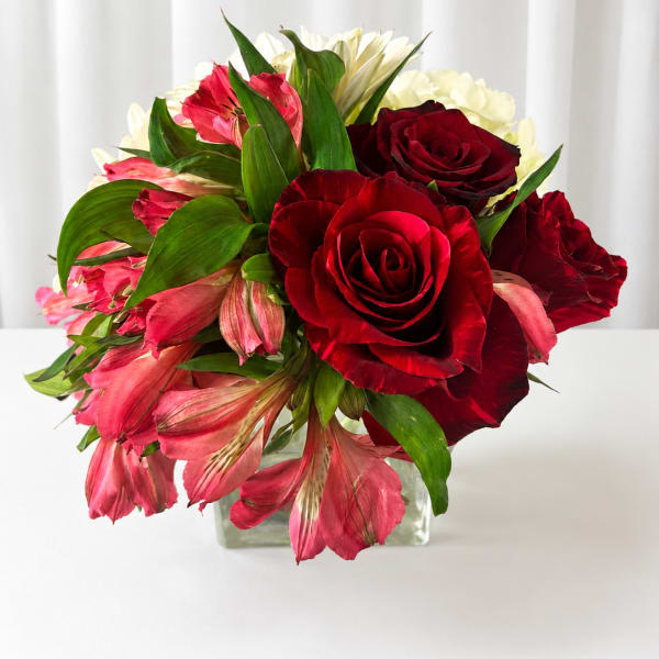 Passion, red