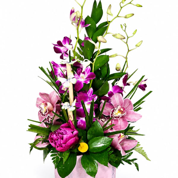 Orchid Blush Garden