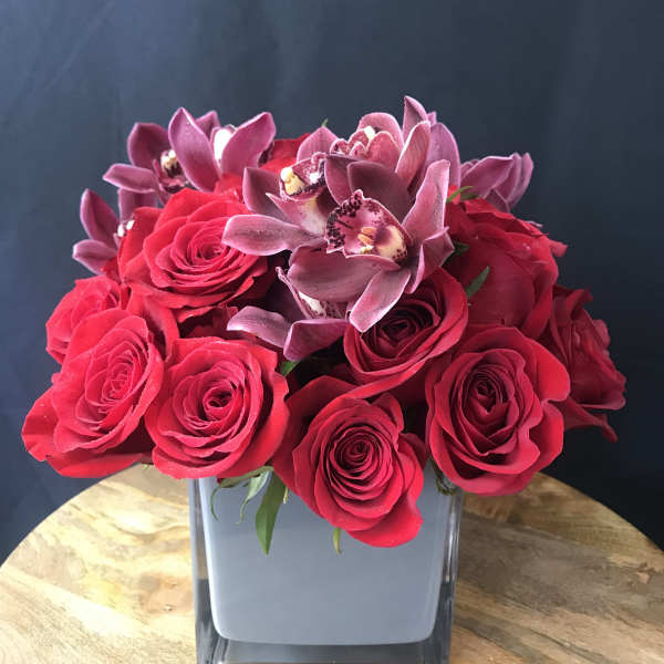 Lola