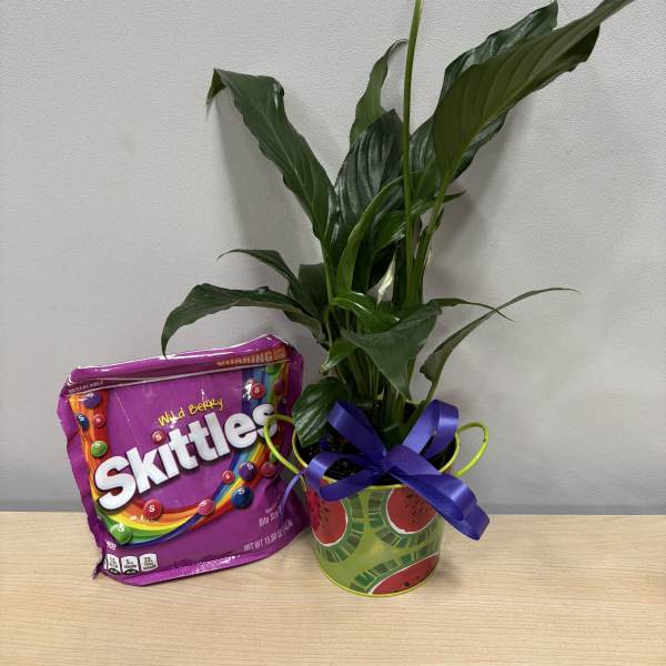 Potted peace lily with a Skittles candy bag and ribbon-tied container
