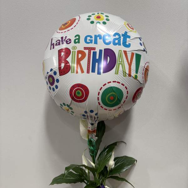 Birthday balloon with a potted peace lily and a candle