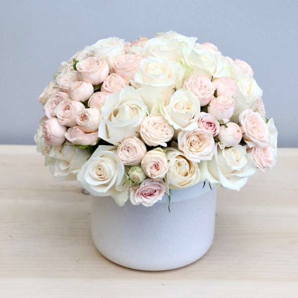 Dome-shaped arrangement of white and blush roses in a white ceramic pot
