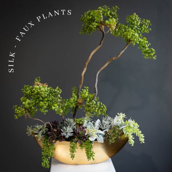 Succulent arrangement in a gold bowl with two tall bonsai-like plants